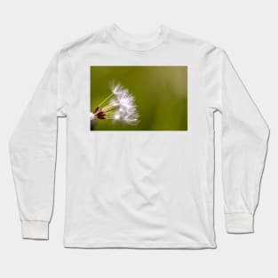 Close-up of dandelion seeds Long Sleeve T-Shirt